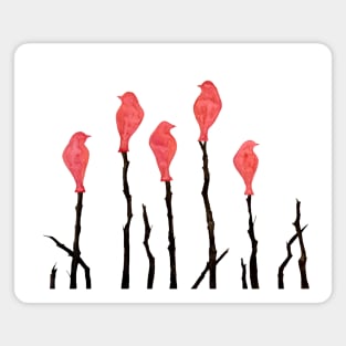 Birds of a pink feather Magnet